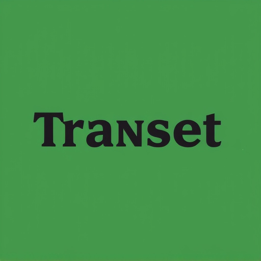 DTF Transfer,DTF,DTF Transfer,DTF Printing,DTF Prints