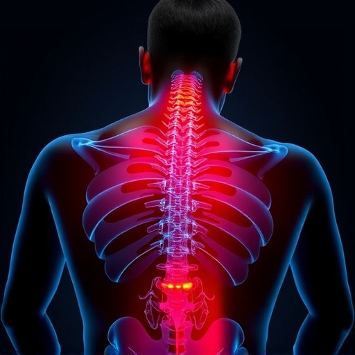 Jacksonville auto accident chiropractor, whiplash treatment specialist, PIP insurance 14-day rule, St Johns Town Center injury clinic, neck and back pain relief, workers compensation injury care