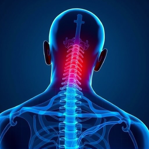 Jacksonville auto accident chiropractor, whiplash treatment specialist, PIP insurance 14-day rule, St Johns Town Center injury clinic, neck and back pain relief, workers compensation injury care