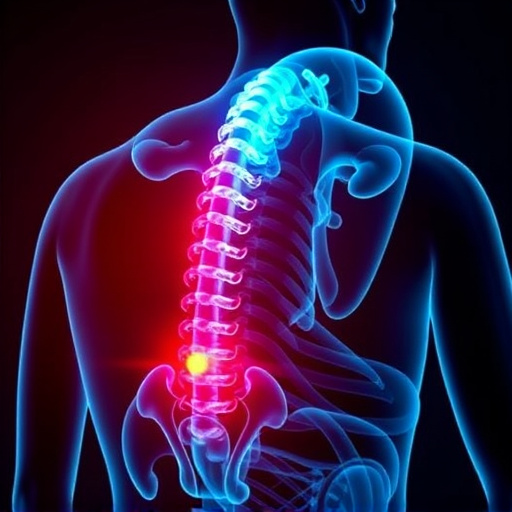 Jacksonville auto accident chiropractor, whiplash treatment specialist, PIP insurance 14-day rule, St Johns Town Center injury clinic, neck and back pain relief, workers compensation injury care