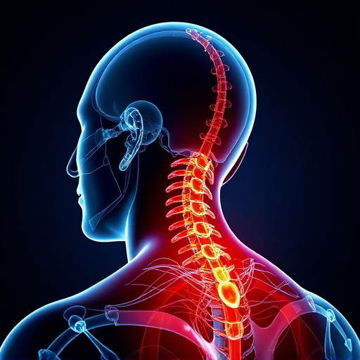 Jacksonville auto accident chiropractor, whiplash treatment specialist, PIP insurance 14-day rule, St Johns Town Center injury clinic, neck and back pain relief, workers compensation injury care