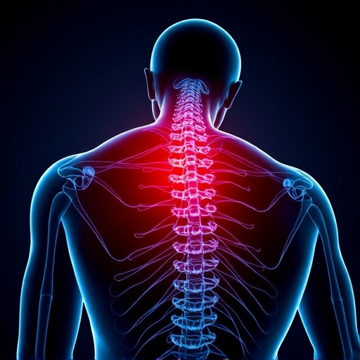 Jacksonville auto accident chiropractor, whiplash treatment specialist, PIP insurance 14-day rule, St Johns Town Center injury clinic, neck and back pain relief, workers compensation injury care