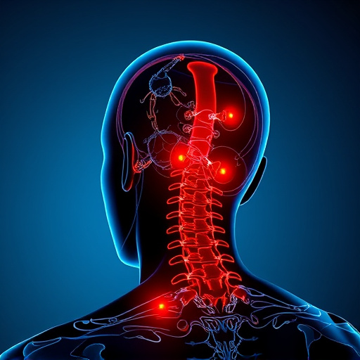 Jacksonville auto accident chiropractor, whiplash treatment specialist, PIP insurance 14-day rule, St Johns Town Center injury clinic, neck and back pain relief, workers compensation injury care