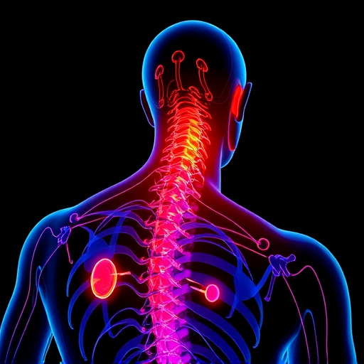 Jacksonville auto accident chiropractor, whiplash treatment specialist, PIP insurance 14-day rule, St Johns Town Center injury clinic, neck and back pain relief, workers compensation injury care