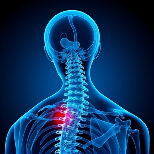 jacksonville-auto-accident-chiropractor-640x480-55868350.jpeg