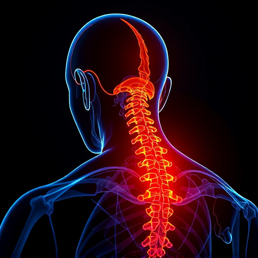 Jacksonville auto accident chiropractor, whiplash treatment specialist, PIP insurance 14-day rule, St Johns Town Center injury clinic, neck and back pain relief, workers compensation injury care