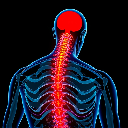 Jacksonville auto accident chiropractor, whiplash treatment specialist, PIP insurance 14-day rule, St Johns Town Center injury clinic, neck and back pain relief, workers compensation injury care