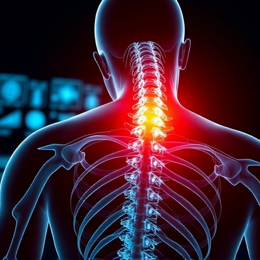 Jacksonville auto accident chiropractor, whiplash treatment specialist, PIP insurance 14-day rule, St Johns Town Center injury clinic, neck and back pain relief, workers compensation injury care