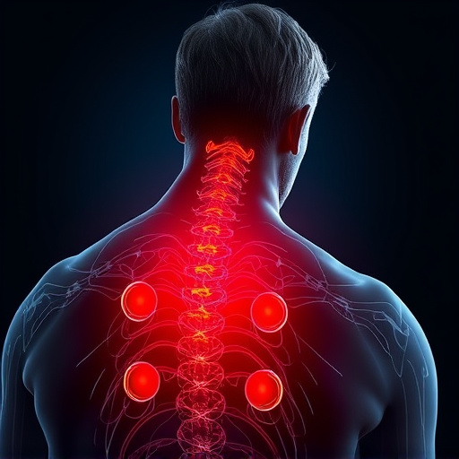 Jacksonville auto accident chiropractor, whiplash treatment specialist, PIP insurance 14-day rule, St Johns Town Center injury clinic, neck and back pain relief, workers compensation injury care