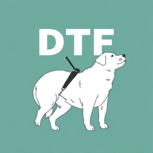 DTF