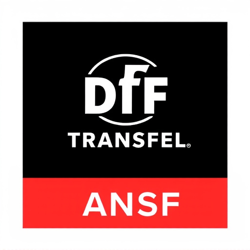 DTF Transfer,DTF,DTF Transfer,DTF Printing,DTF Prints