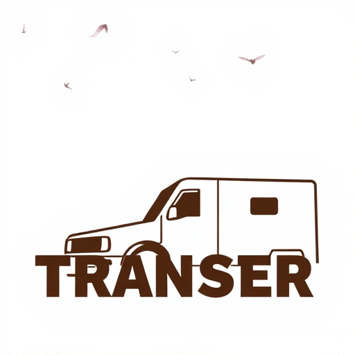 DTF Transfer,DTF,DTF Transfer,DTF Printing,DTF Prints