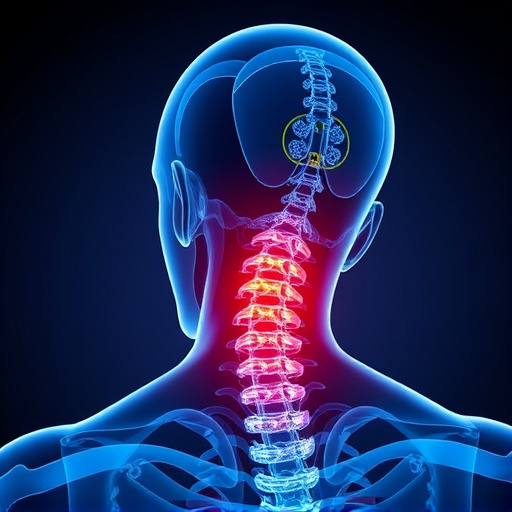 Jacksonville auto accident chiropractor, whiplash treatment specialist, PIP insurance 14-day rule, St Johns Town Center injury clinic, neck and back pain relief, workers compensation injury care