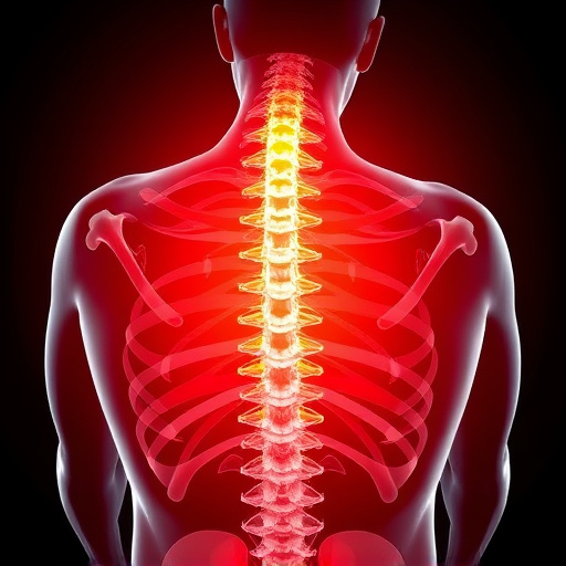 Jacksonville auto accident chiropractor, whiplash treatment specialist, PIP insurance 14-day rule, St Johns Town Center injury clinic, neck and back pain relief, workers compensation injury care