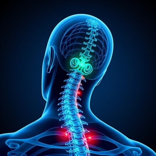 Jacksonville auto accident chiropractor, whiplash treatment specialist, PIP insurance 14-day rule, St Johns Town Center injury clinic, neck and back pain relief, workers compensation injury care
