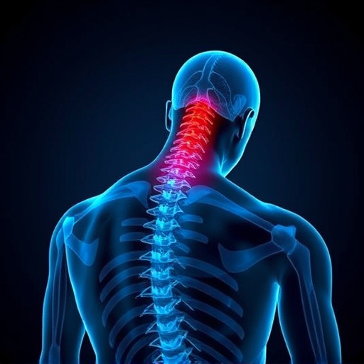 Jacksonville auto accident chiropractor, whiplash treatment specialist, PIP insurance 14-day rule, St Johns Town Center injury clinic, neck and back pain relief, workers compensation injury care