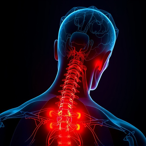 Jacksonville auto accident chiropractor, whiplash treatment specialist, PIP insurance 14-day rule, St Johns Town Center injury clinic, neck and back pain relief, workers compensation injury care