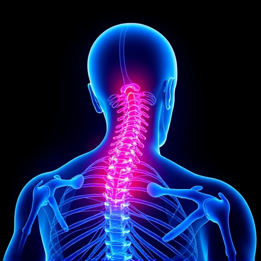 Jacksonville auto accident chiropractor, whiplash treatment specialist, PIP insurance 14-day rule, St Johns Town Center injury clinic, neck and back pain relief, workers compensation injury care