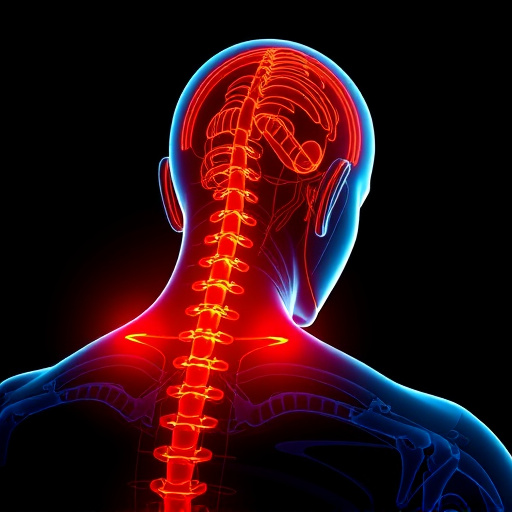 Jacksonville auto accident chiropractor, whiplash treatment specialist, PIP insurance 14-day rule, St Johns Town Center injury clinic, neck and back pain relief, workers compensation injury care