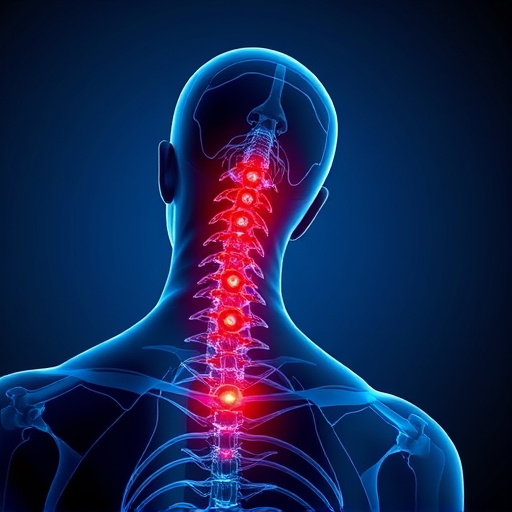 jacksonville-auto-accident-chiropractor-640x480-72244474.jpeg