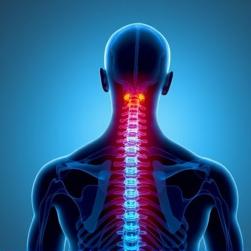 jacksonville-auto-accident-chiropractor-640x480-72602716.jpeg