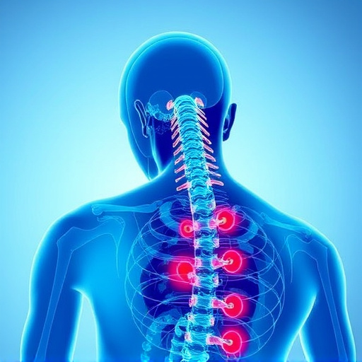jacksonville-auto-accident-chiropractor-640x480-79438181.jpeg