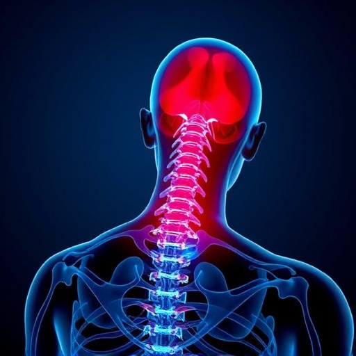 Jacksonville auto accident chiropractor, whiplash treatment specialist, PIP insurance 14-day rule, St Johns Town Center injury clinic, neck and back pain relief, workers compensation injury care
