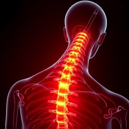 Jacksonville auto accident chiropractor, whiplash treatment specialist, PIP insurance 14-day rule, St Johns Town Center injury clinic, neck and back pain relief, workers compensation injury care