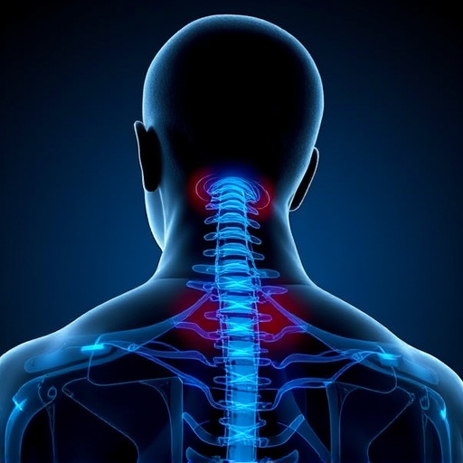 Jacksonville auto accident chiropractor, whiplash treatment specialist, PIP insurance 14-day rule, St Johns Town Center injury clinic, neck and back pain relief, workers compensation injury care