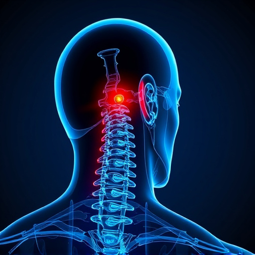 Jacksonville auto accident chiropractor, whiplash treatment specialist, PIP insurance 14-day rule, St Johns Town Center injury clinic, neck and back pain relief, workers compensation injury care