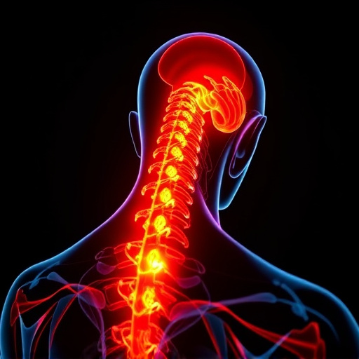 Jacksonville auto accident chiropractor, whiplash treatment specialist, PIP insurance 14-day rule, St Johns Town Center injury clinic, neck and back pain relief, workers compensation injury care