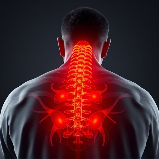 jacksonville-auto-accident-chiropractor-640x480-9721158.jpeg