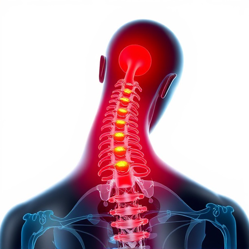 neck and back pain relief