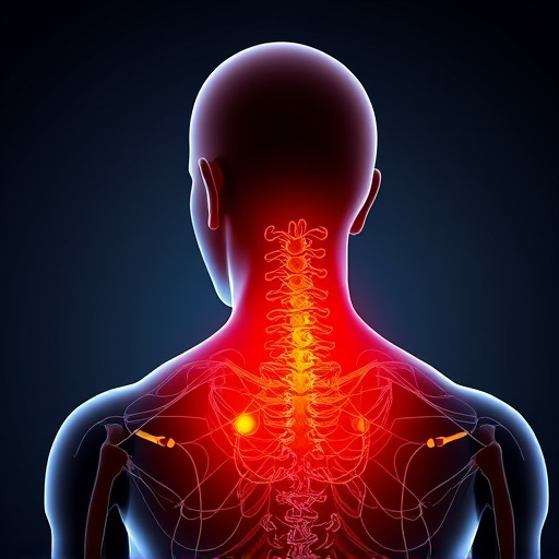 neck and back pain relief