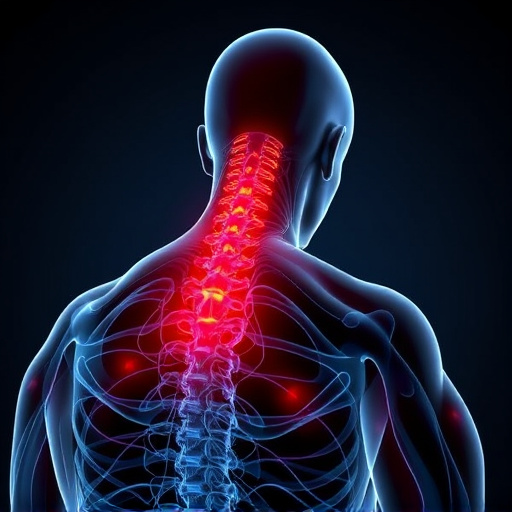 neck and back pain relief