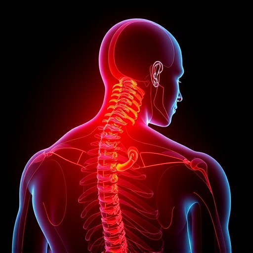 neck and back pain relief