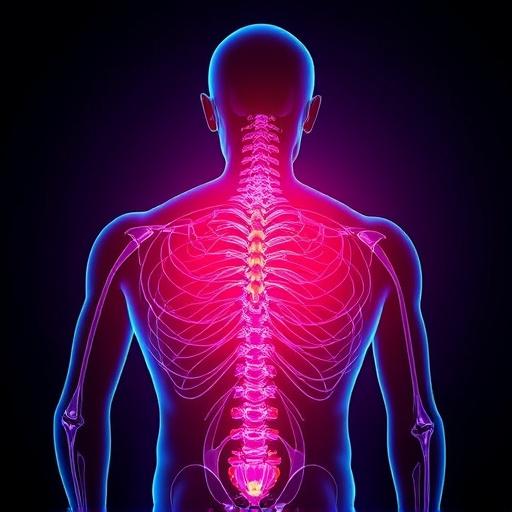 neck and back pain relief