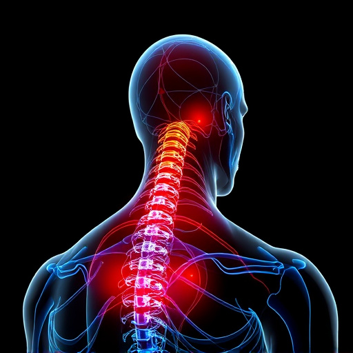 neck and back pain relief