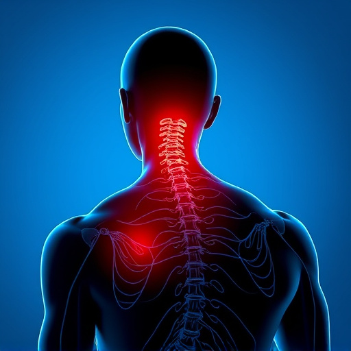 neck and back pain relief