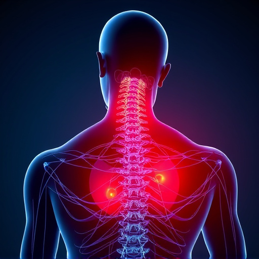 neck and back pain relief