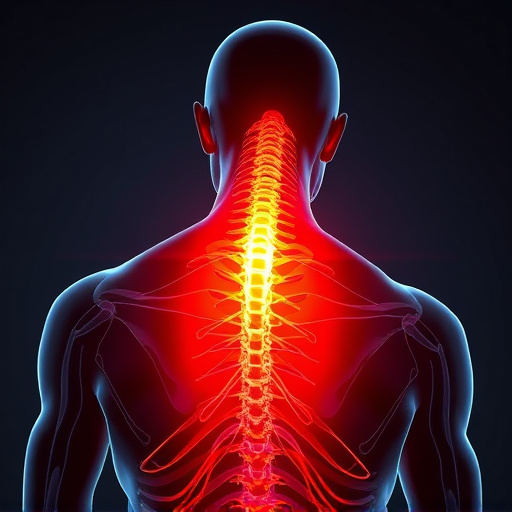 neck and back pain relief