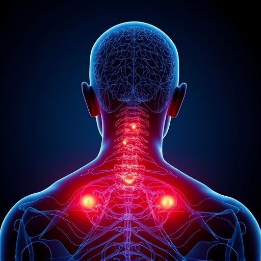 neck and back pain relief