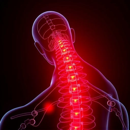 neck and back pain relief