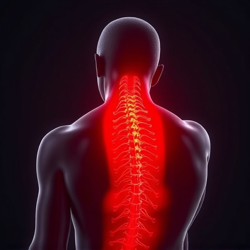 neck and back pain relief