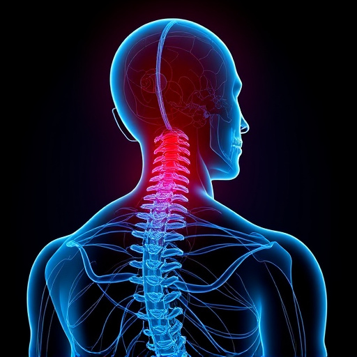 neck and back pain relief