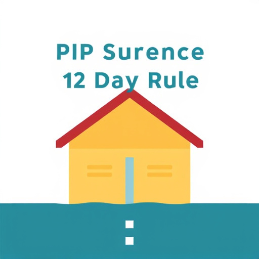 PIP insurance 14-day rule