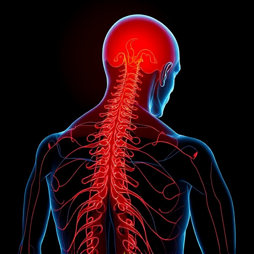 whiplash treatment specialist
