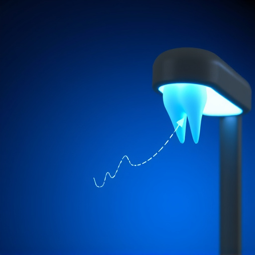 dental insurance