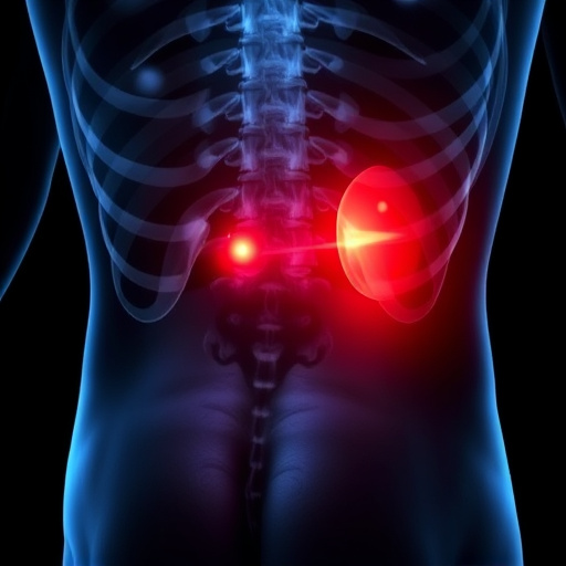 herniated-disc-640x480-13944342.jpeg