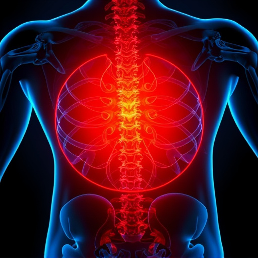 herniated disc